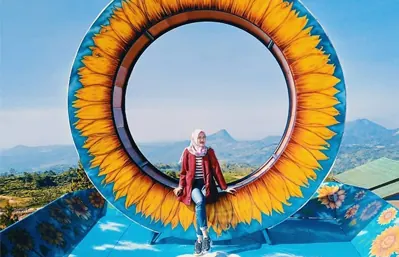 Spot Foto Bunga Matahari