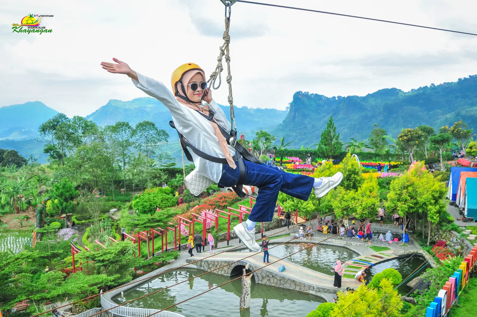 Flying Fox